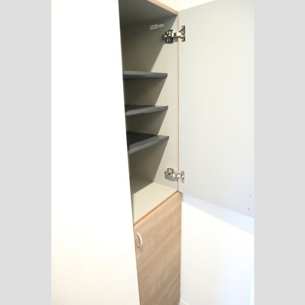 パルナシウス301号室 シューズボックス