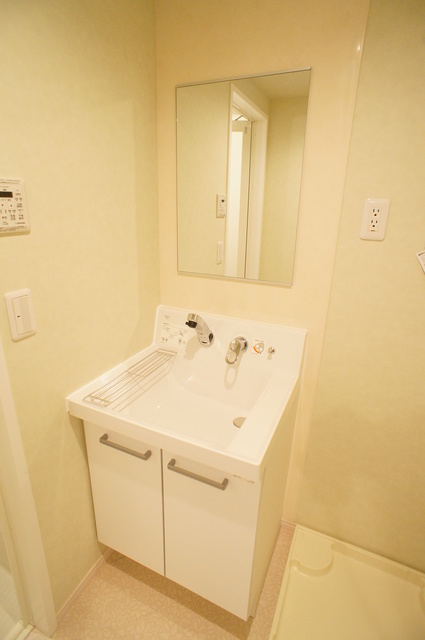 Ｕ－ＨＯＵＳＥ市川南0208号室 洗面