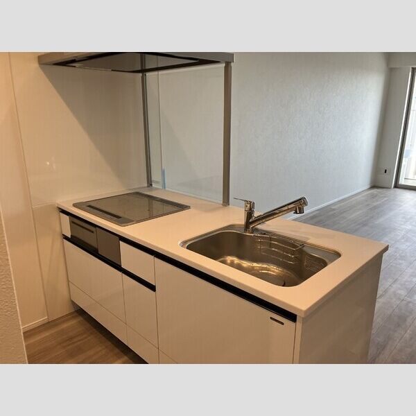 THE RejuvePort KISARAZU1002号室 システムキッチン