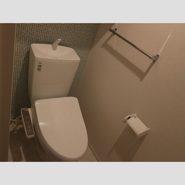 Colmar(コルマール)202号室 トイレ