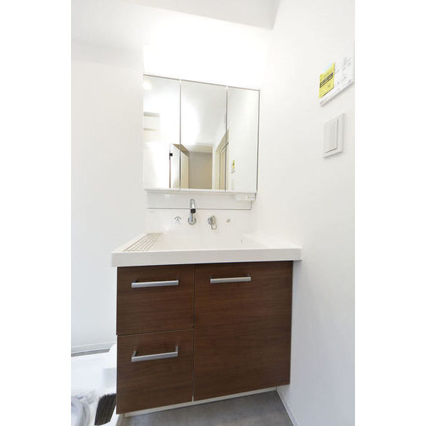 サリースマイル参番館0202号室 洗面