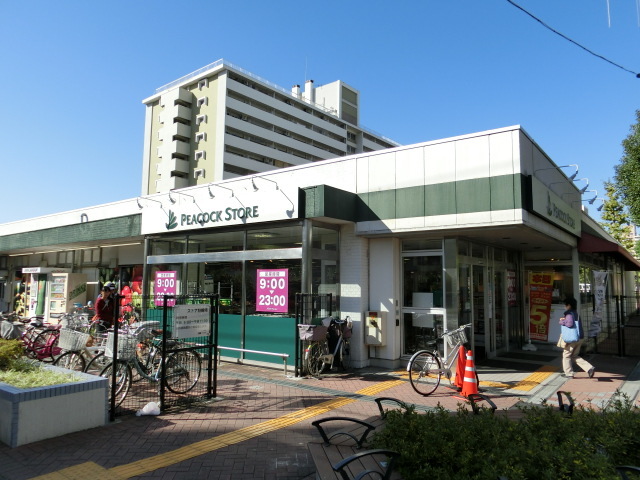 ＦＩＮＥ　ＢＬＯＯＭ0201号室 ピーコックストア大島店