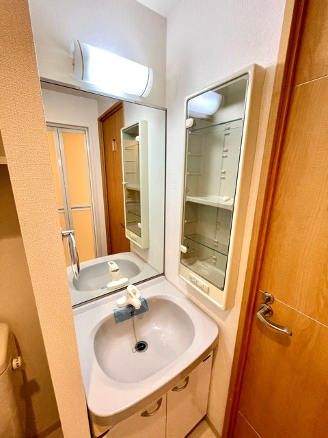 レジディア蒲田10階 洗面