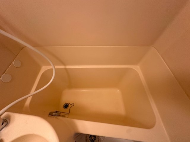 プラザ ドゥ グレンヂ お風呂