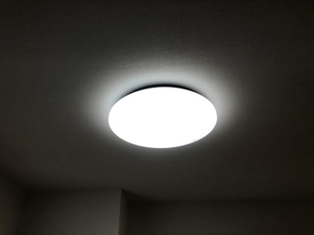メゾン　ウィステリア102号室 照明器具
