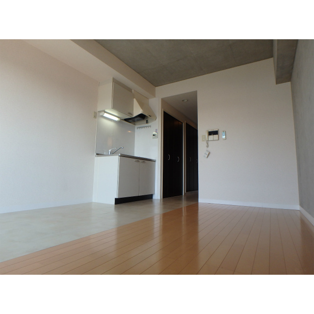 ショアーズ鵠沼フラット209号室 内観