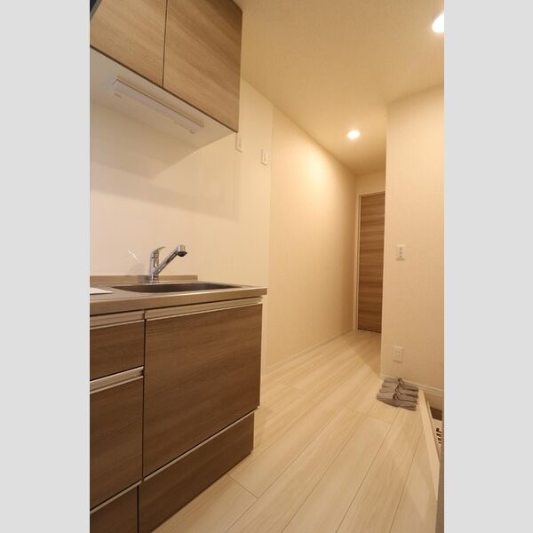 フローリッシュ武蔵浦和102号室 部屋その他