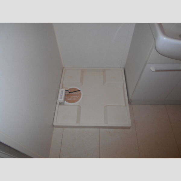 GLAD上本郷　A102号室 室内洗濯機置場