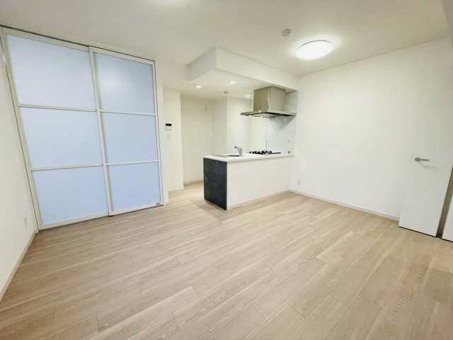 SYFORME NEXT IKEBUKURO WEST304号室 リビング