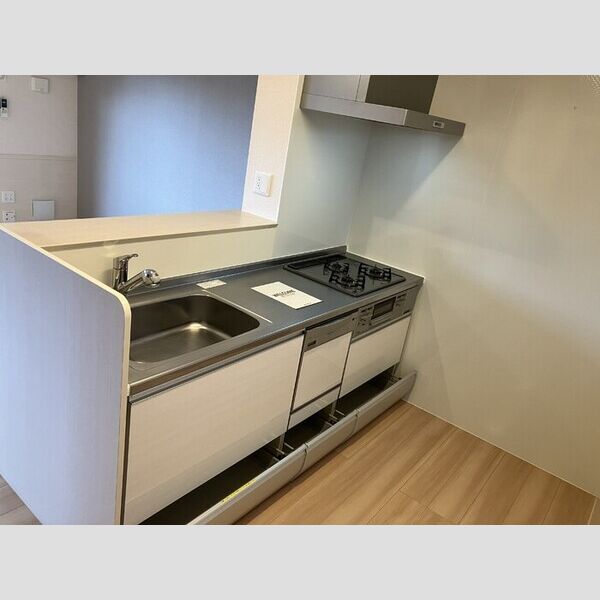 リバーサイド・レジデンス システムキッチン