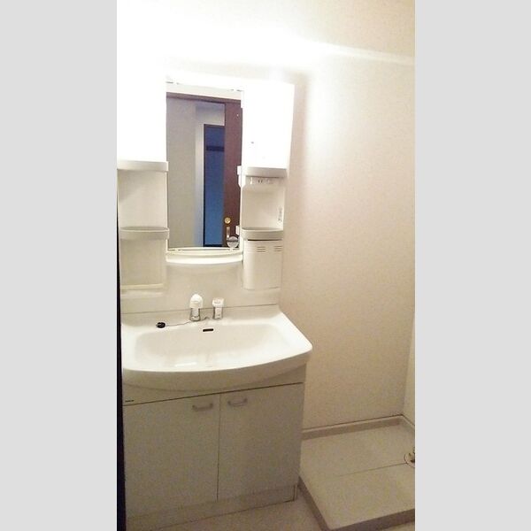 アレックス千葉寺402号室 洗面室