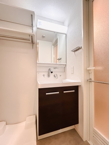 アイル グランデ川口311号室 洗面