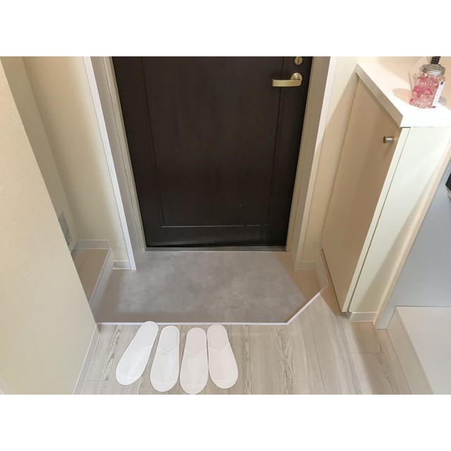 ドリームスペースマンションB-01号室 玄関