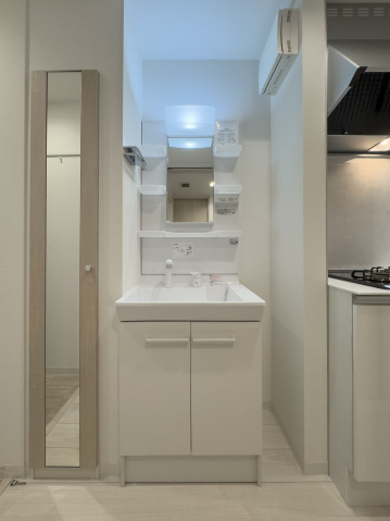 スカイルーチェ川口芝中田103号室 洗面