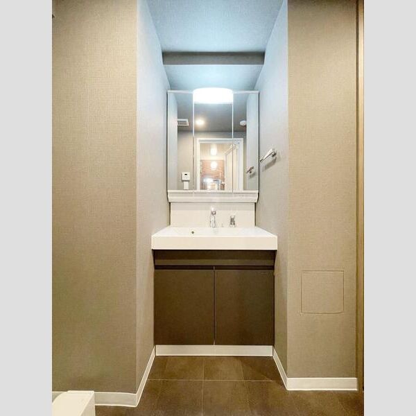 S-RESIDENCE板橋大山brim301号室 洗面