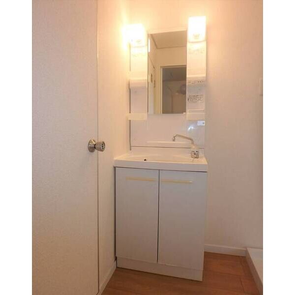 メイプルコート立川0201号室 洗面