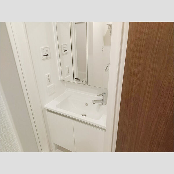 ロイジェント加美平102号室 洗面所