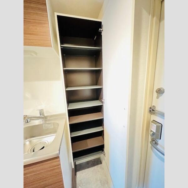 ファンディ平塚801号室 シューズボックス