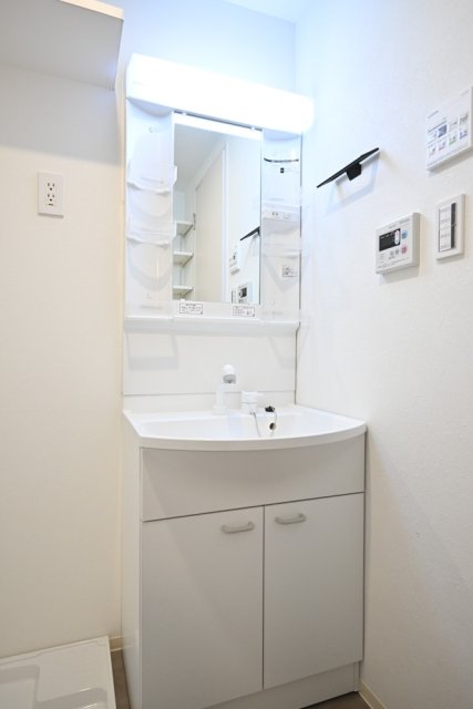 フェリデンシア御嶽山3階 洗面