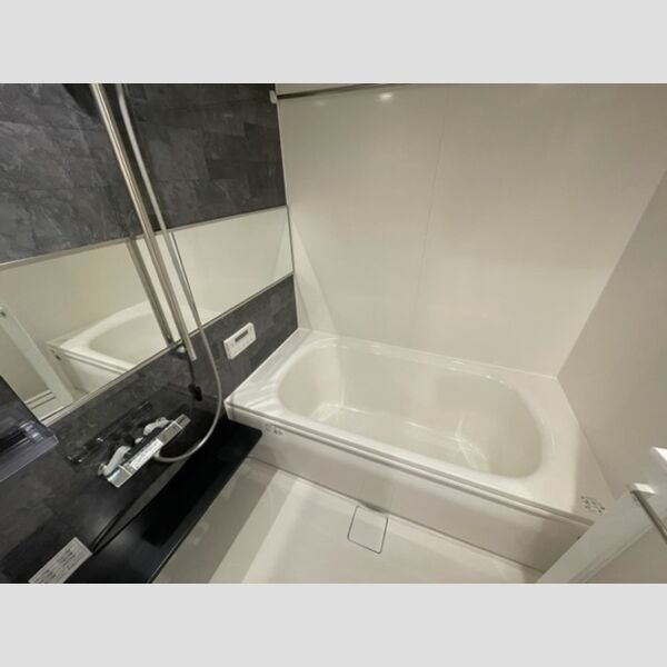 プランドール(富士見)203号室 一坪風呂