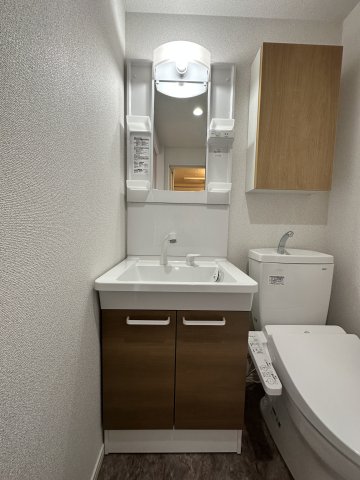 ベイルームウィル中山101号室 洗面