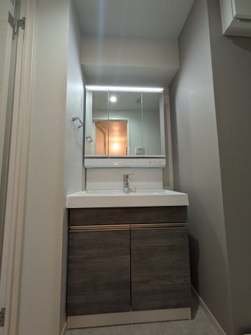 ジェノヴィア六町0107号室 洗面