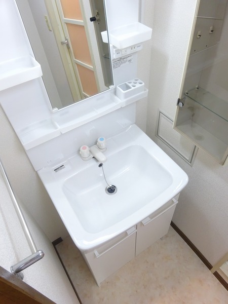 ライオンズマンション東四つ木101号室 洗面