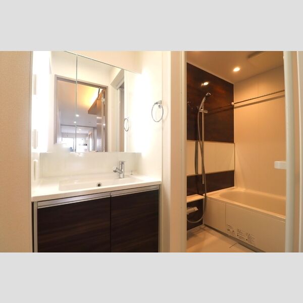 セレスティア小豆沢 洗面所