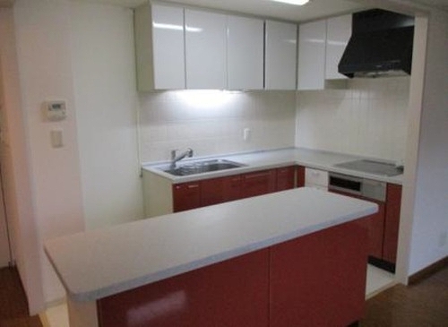 ライオンズヴィアーレ浦和弐番館 カウンター付きシステムキッチン