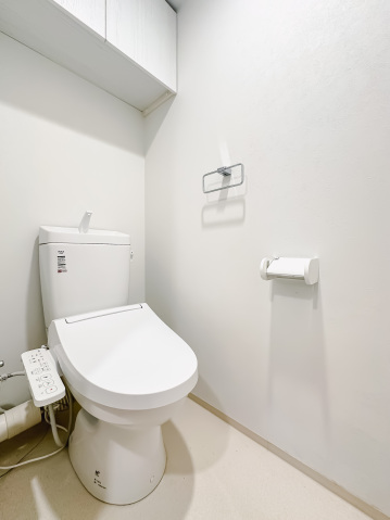 スカイコートリュクス品川大崎103号室 トイレ