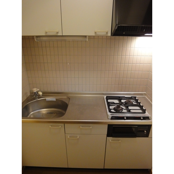 リヴェール睦　白山0501号室 キッチン