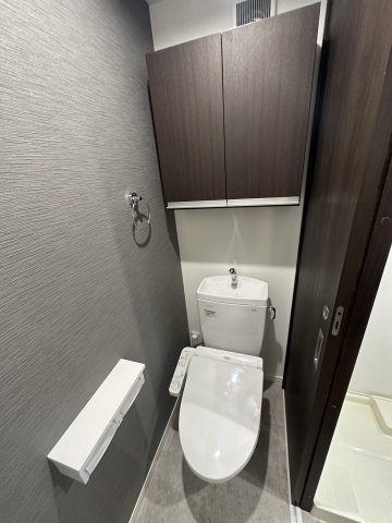 ベイルーム本厚木旭町303号室 トイレ