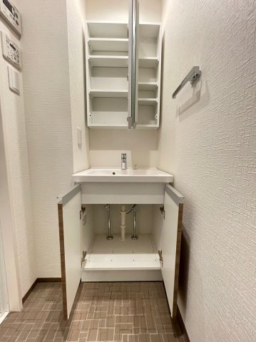 DIPS大山東町2303号室 洗面