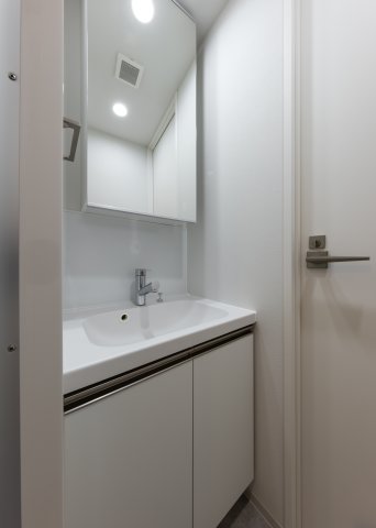 SYFORME SUMIYOSHIⅡ501号室 洗面