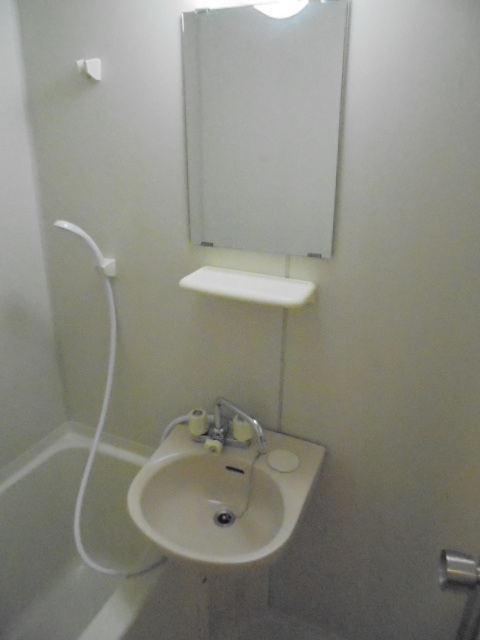 スカイコート新宿第８102号室 洗面