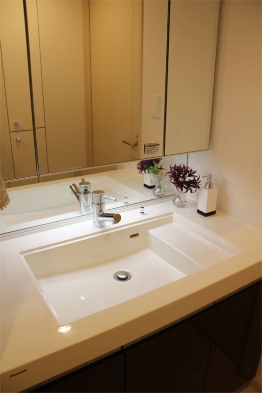 シャンピアグランデ深沢4階 洗面