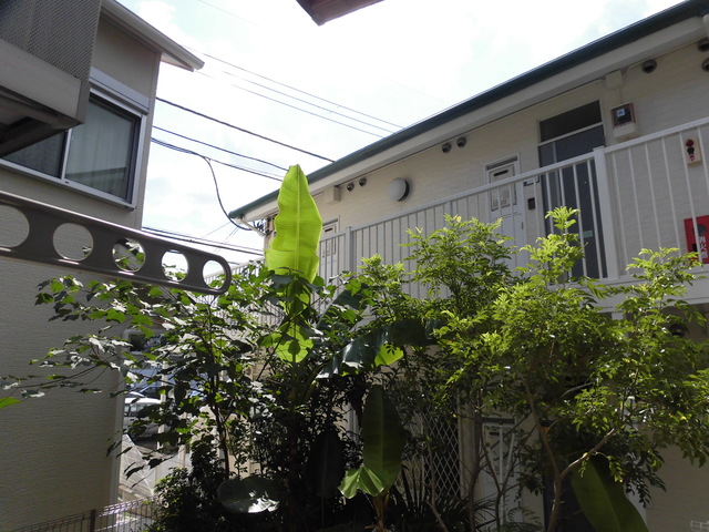 ＣＯＣＯ　ＣＡＳＡ0203号室 102号室の写真となります。