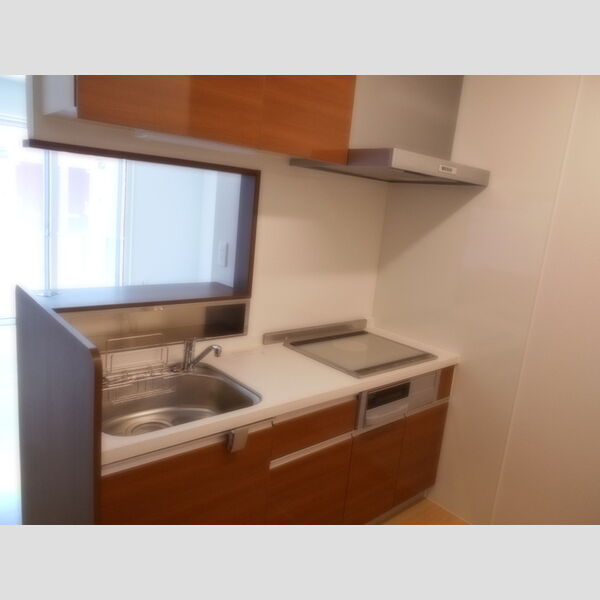 ルミニョンセパル　AA101号室 キッチン