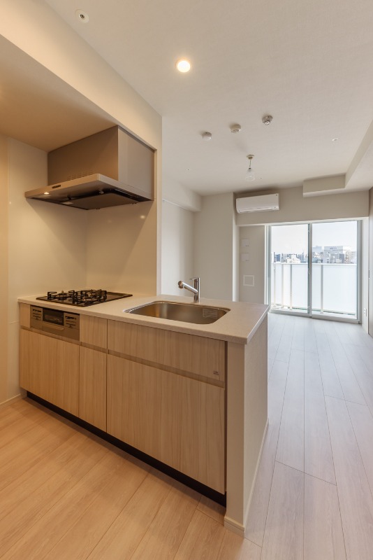 シーズンフラッツ蔵前パークフロント4階 部屋その他