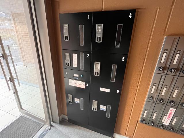 ラピスラズリ201号室 宅配ボックス