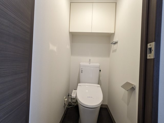 ケーディーエックスレジデンス豊洲419号室 トイレ