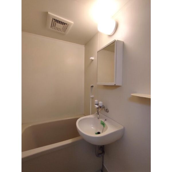 グリーンウェーブ・吉野0102号室 洗面