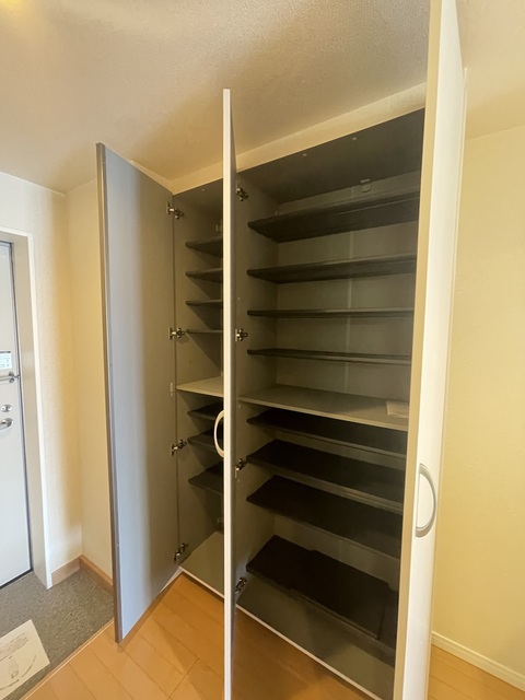 グリーンフラッツ0203号室 玄関