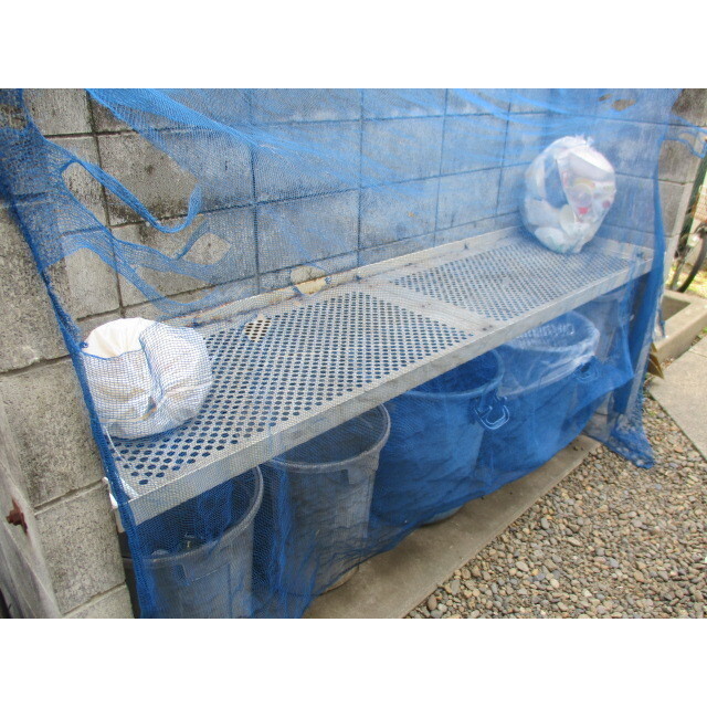 L. Box House Futaba B棟 外観