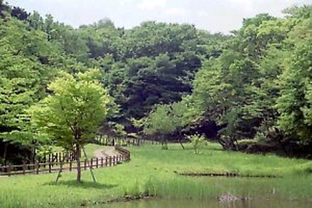 コートハウス藤ヶ丘0106号室 北八朔公園