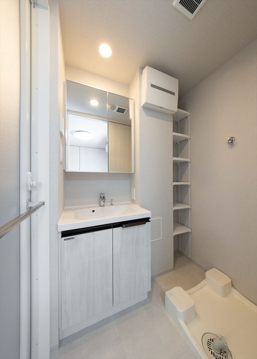 DIPS綾瀬506号室 洗面