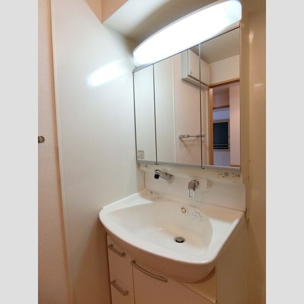 アエル湘南201号室 洗髪洗面化粧台