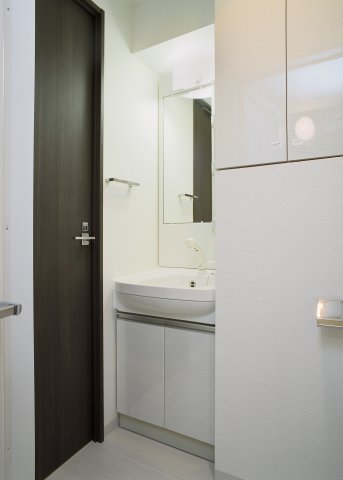 グラントゥルース巣鴨704号室 洗面