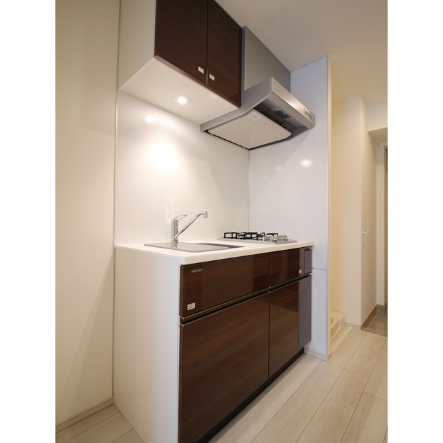 プレール・ドゥーク芝浦807号室 システムキッチン