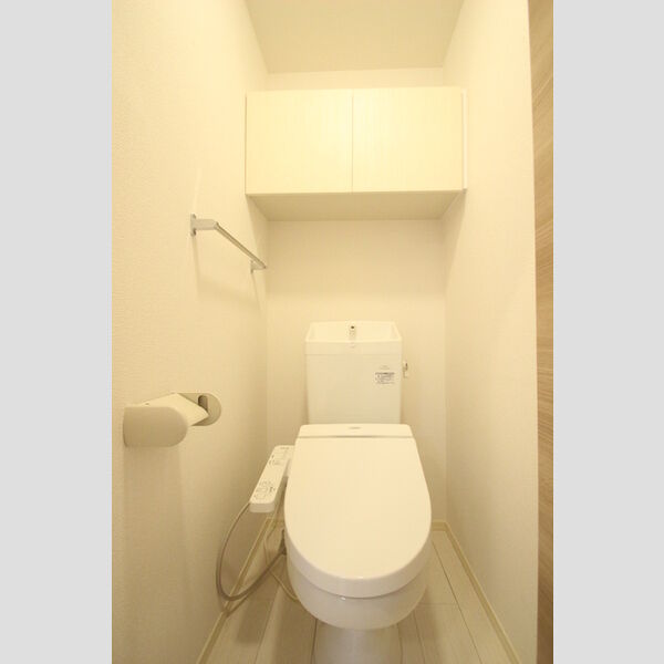 桜DKハイム 301号室　トイレ